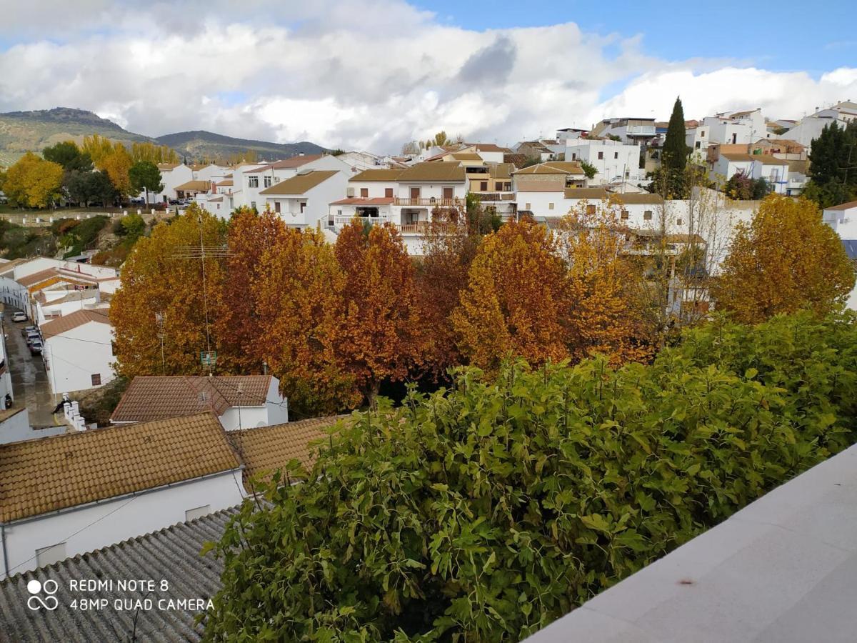 Villa Elisabeth Con Piscina Climatizada Chimenea Y Terraza Arriate Luaran gambar